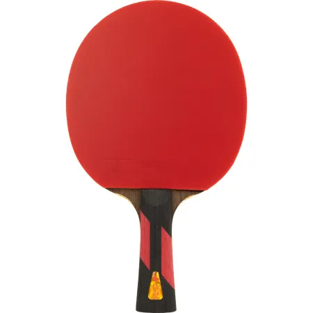 Ракетка для н/т DOUBLE FISH 7A+C, для професс.,ITTF Appr.,накл.2,1мм,+ 2 мяча V40+мм ITTF Appr за 3&nbsp;559.80 ₽ купить в Ижевске