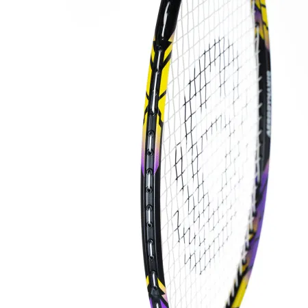 Ракетка бадм. TORRES Carbon PRO6, BD20521,для продв., стерж/обод из карбона,со струнами, фиол за 4&nbsp;477.80 ₽ купить в Ижевске
