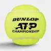 Мяч теннисный Dunlop ATP Championship 4B, 601627, уп.4ш, одобр. ITF, нат.резина,фетр. за 1&nbsp;242.70 ₽ купить в Ижевске