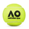 Мяч теннисный Dunlop Australian Open, 601601, уп..3 шт, одобр.ITF,фетр,нат.резина, желтый за 1&nbsp;171.30 ₽ купить в Ижевске