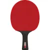 Ракетка для н/т DOUBLE FISH Black Carbon King Racket 5*****, для професс.,ITTF Appr.,накл.2,1,мм за 6&nbsp;434.50 ₽ купить в Ижевске