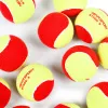 Мяч теннисный детский NS Red, 5021009, уп.12 шт, резина, шерть, нейлон, желто-красный за 2&nbsp;941 ₽ купить в Ижевске