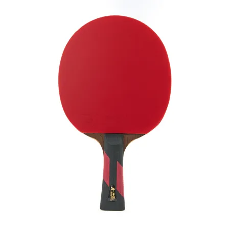 Ракетка для н/т DOUBLE FISH 7A+C, для професс.,ITTF Appr.,накл.2,1мм,+ 2 мяча V40+мм ITTF Appr за 3&nbsp;559.80 ₽ купить в Ижевске