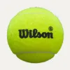 Мяч для падела Wilson Premier Padel Speed, WR8908501001, уп.3 шт, FIP Appr.,сукно, нат.резина,желтый за 1&nbsp;235.90 ₽ купить в Ижевске