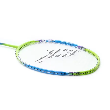 Ракетка для бадм. DOUBLE FISH JINQUE QT-1601, для продвинутых,карбон со струнами,литая,голубой за 3&nbsp;015.80 ₽ купить в Ижевске